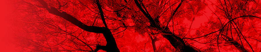 arbres rouge